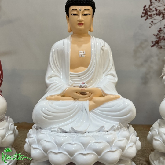 ADIDA ngồi 30 composite